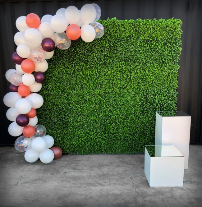 hedge-wall-with-balloons-and-plinths
